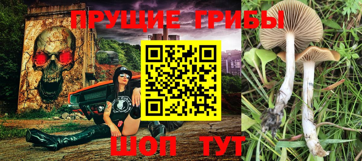 Галлюциногенные грибы Psilocybine cubensis  где продают наркотики  Шарыпово  Вход с VPN 