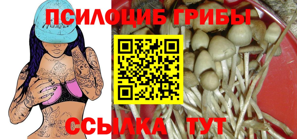 Псилоцибиновые грибы GOLDEN TEACHER Шарыпово